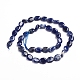 Chapelets de perles en sodalite naturelle G-E560-L01-2