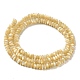 Brins de perles de coquillages naturels de troca SHEL-K006-25B-2