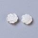 Natural White Shell Mother of Pearl Shell Cabochons SSHEL-L014-02-2
