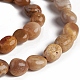 Natural Fossil Coral Beads Strands G-D0002-D78-3