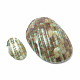 Perles de coquillages en spirale SSHEL-S258-09-2