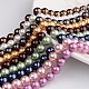 Polished Round Grade A Shell Pearl Bead Strands BSHE-M027-6mm-M-1