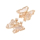 Подвески из латуни с прозрачным стеклом KK-B100-012G-2