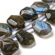 Natural Labradorite Beads Strands G-Z040-A03-01-1