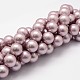 Rainbow Plated Shell Pearl Bead Strands BSHE-L025-6mm-M-2