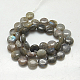 Natural Labradorite Beads Strands G-G224-10x5mm-02-2