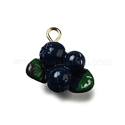 Латунные подвески из акрила OACR-R006-01G-09