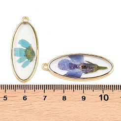 Pendentifs en résine époxy d'alliage&nbsp;FIND-Z114-01G-03