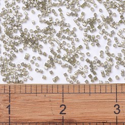 MIYUKIデリカビーズ  シリンダー  日本製シードビーズ  11/0  （染めたサボテンabの中のdb1876)シルク  1.3x1.6mm  穴：0.8mm  約2000PCS /ボトル  10 G /ボトル&nbsp;SEED-JP0008-DB1876