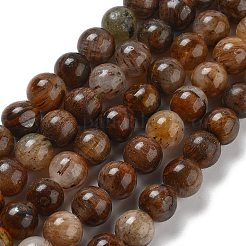 Естественный желтый тигровый глаз бисер нитей G-H238-8mm