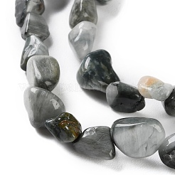 Натуральный орлиный глаз бусы G-P497-01C-52