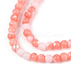 Нити бусин из окрашенных натуральных ракушек трохид/трохус SSHEL-T017-13D