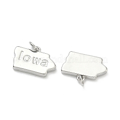 Pendentifs en laiton&nbsp;KK-D229-22L-P