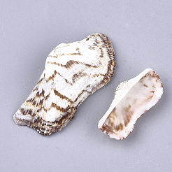 Perle di conchiglia&nbsp;SSHEL-S258-56
