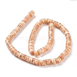 Нити бусин из натуральных трохоидных/трохус ракушек SSHEL-L016-13D