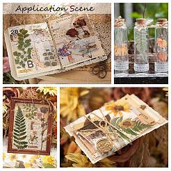 6 шт. клейкие водонепроницаемые наклейки для домашних животных&nbsp;DIY-K074-01D