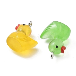 Подвески из смолы RESI-S001-01B