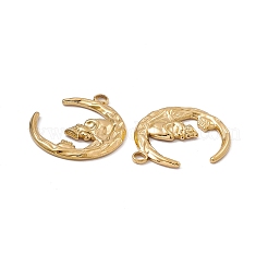 Pendentifs en acier inoxydable 304 avec placage ionique (IP)&nbsp;STAS-B031-31G