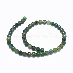 天然石モスアゲートビーズ連売り  ラウンド  8mm  穴：2mm  約49個/連  14.7インチ（37.5cm）&nbsp;G-L476-05