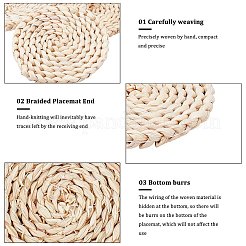 Тканые салфетки ручной работы из кукурузной соломы AJEW-WH0016-79