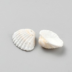 Природные подвески оболочки&nbsp;SHEL-WH0002-21B