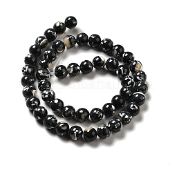 Fili di perle sintetiche turchesi e conchiglie montate&nbsp;G-D482-01A-01