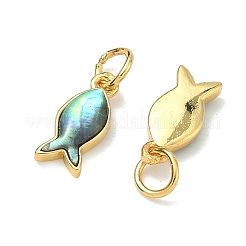 Anhänger aus natürlicher Paua-Muschel&nbsp;X-KK-F926-04A