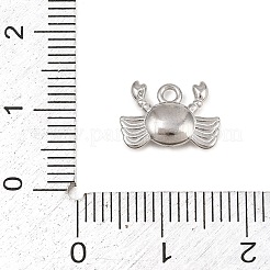 Anhänger aus 304 Edelstahl&nbsp;STAS-E522-01P