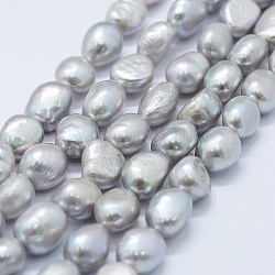 Hebras de perlas de agua dulce cultivadas naturales, teñido, patata, plata, 8~10x7~8x7~8mm, agujero: 0.5 mm, aproximamente 36 pcs / cadena, 13.58 pulgada (34.5 cm)