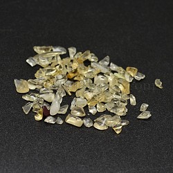 Chips perles en citrine naturelle, pas de trous / non percés, 2~8x2~4mm, environ 8500 pcs/500 g