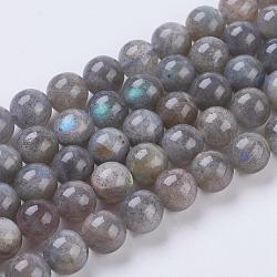 Natural Labradorite Beads Strands,  Round, 8mm, Hole: 1mm, about 47pcs/strand, 15.5 inch