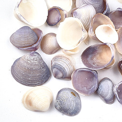 Perle di conchiglia, perline non forate / Senza Buco, viola medio, 7~17x8~17x2~6mm
