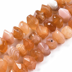 Natural Botswana Agate Beads Strands, Nuggets, Faceted, 10~13x9~11x6~8mm, Hole: 1.2mm, about 29~30pcs/strand, 7.48 inch(19cm)