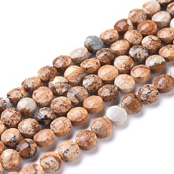 Natural Picture Jasper Beads Strands, Faceted, Flat Round, 6~7x4~4.5mm, Hole: 1mm, about 61~64pcs/strand, 14.96 inch(38cm)