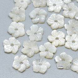 Perles de coquillage blanc naturel, perles coquille en nacre, fleur, couleur de coquillage, 6x6.5x2mm, Trou: 1mm