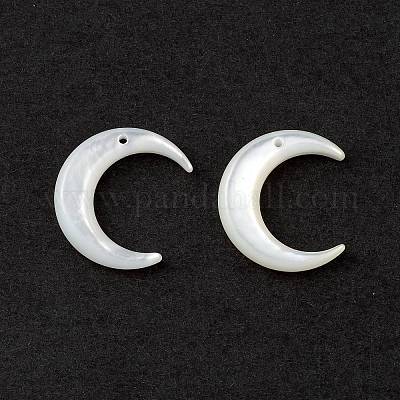 Натуральные белые бусины из ракушек SSHEL-M021-14-1