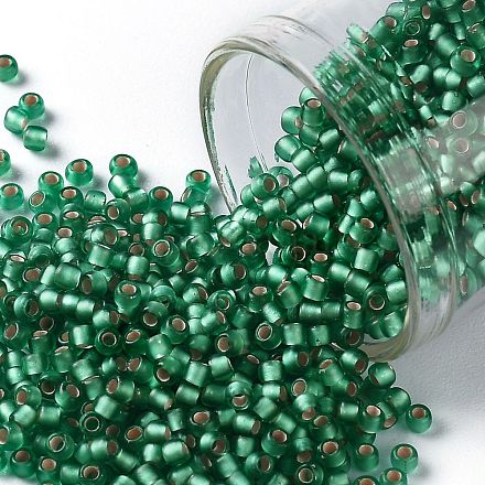 TOHO Round Seed Beads SEED-XTR11-0024BF-1