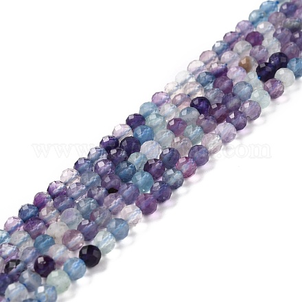 Natural Fluorite Beads Strands X-G-K315-B01-1