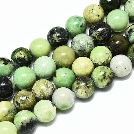 Chapelets de perles en serpentine naturelle X-G-R485-11-10mm-1