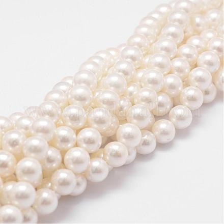 Rainbow Plated Shell Pearl Bead Strands BSHE-L025-02-10mm-1