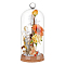 Glass Dome Cover, Decorative Display Case, Cloche Bell Jar Terrarium with Cork Base, Arch, Clear, 215x91mm