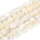Perles en coquillage naturel BSHE-B003-19-2