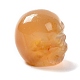 天然石瑪瑙ビーズ  ハロウィンの頭蓋骨  11~11.5x8.5~9x11~11.5mm  穴：0.9~1mm G-C038-01H-4