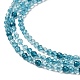 Transparent Glass Beads Strands GLAA-H027-01E-4