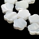 Fili di perline di conchiglia trochus naturale BSHE-P033-07-4