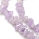 Natural Amethyst Beads Strands X-G-P035-12-2