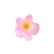 花の形のプラスチック爪ヘアクリップ  女性の女の子のためのヘアアクセサリー  ピンク  40mm PW-WG52864-11-1