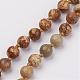 Diaspro perline e pietre preziose collane di perline NJEW-P148-04-3