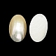 Cabuchones naturales shell SHEL-K008-07A-2