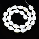 Eau douce naturelle de coquillage perles brins SHEL-Q024-004-2